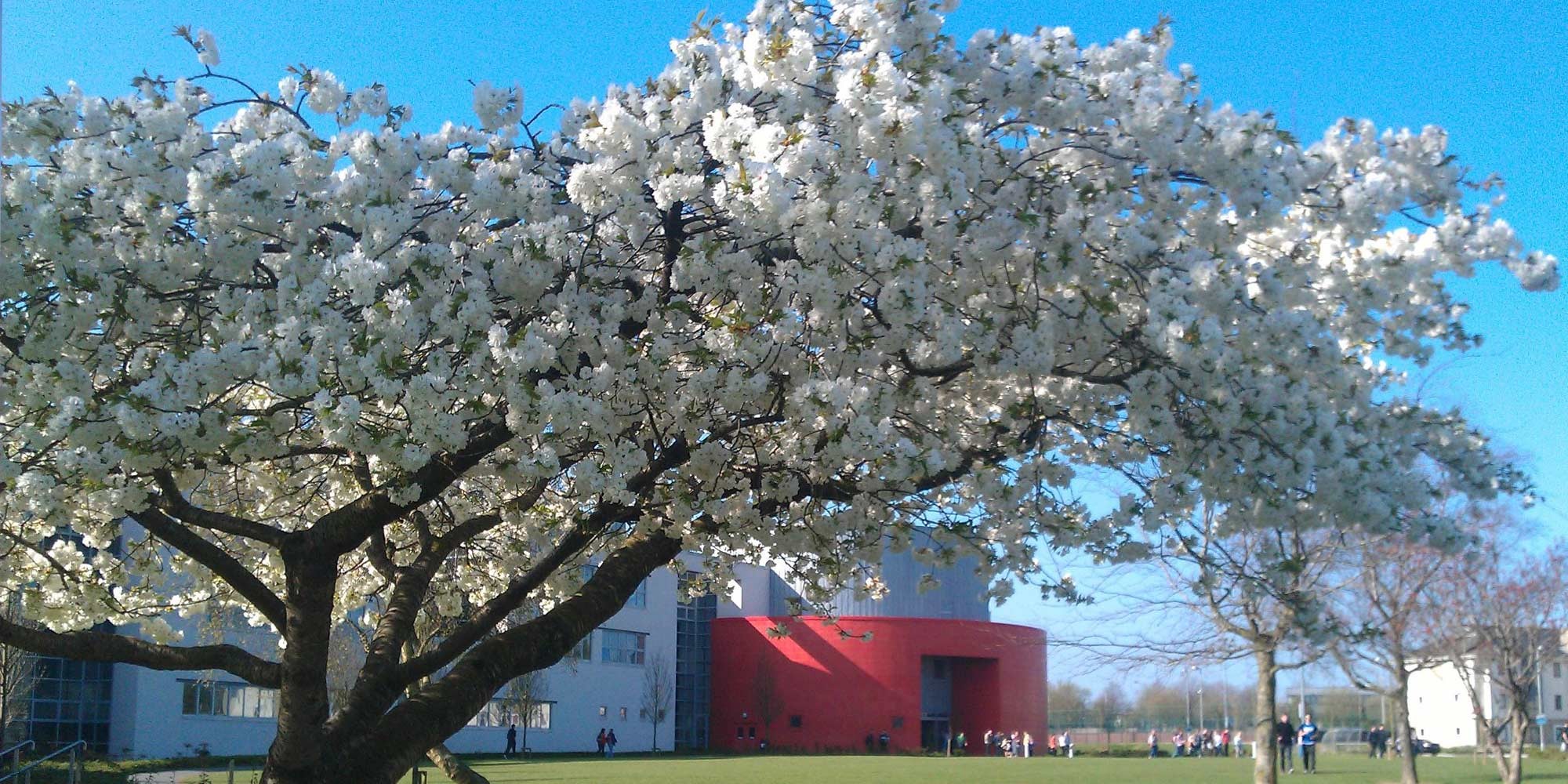 Waterford Institute of Technology Waterford Institute of Technology