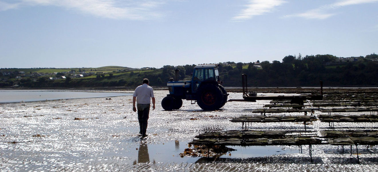 Pictiúr do taracóir ar bá Dún Garbhán Pictiúr do taracóir ar bá Dún Garbhán