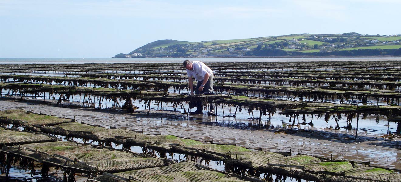 Bá Dún Garbhán Pictiúr do Bá Dún Garbhán