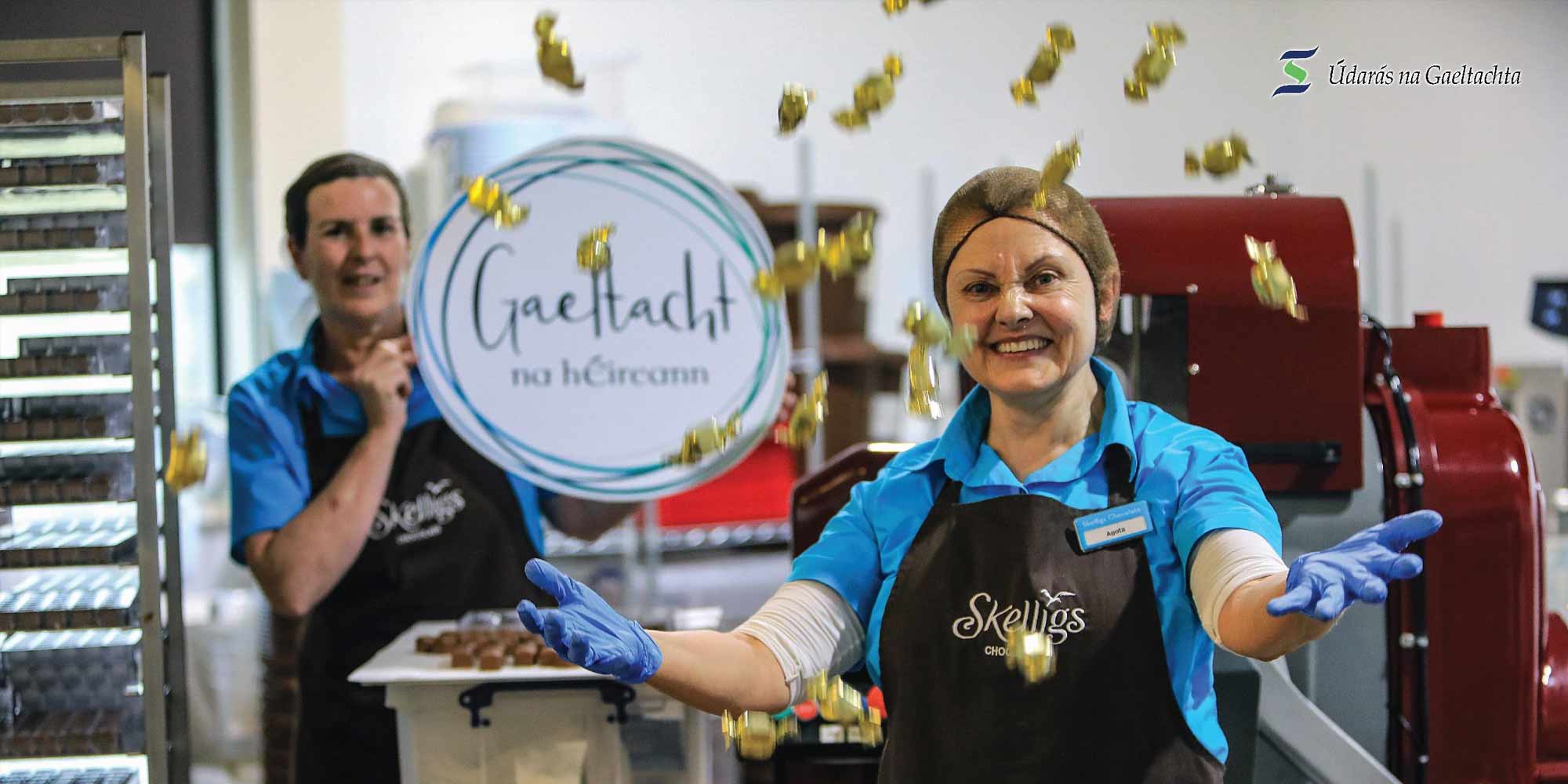 Image of Skelligs Chocolate Factory