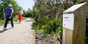 Image of Walkways and Wayfinding at Ionad Cultúrtha an Phiarsaigh