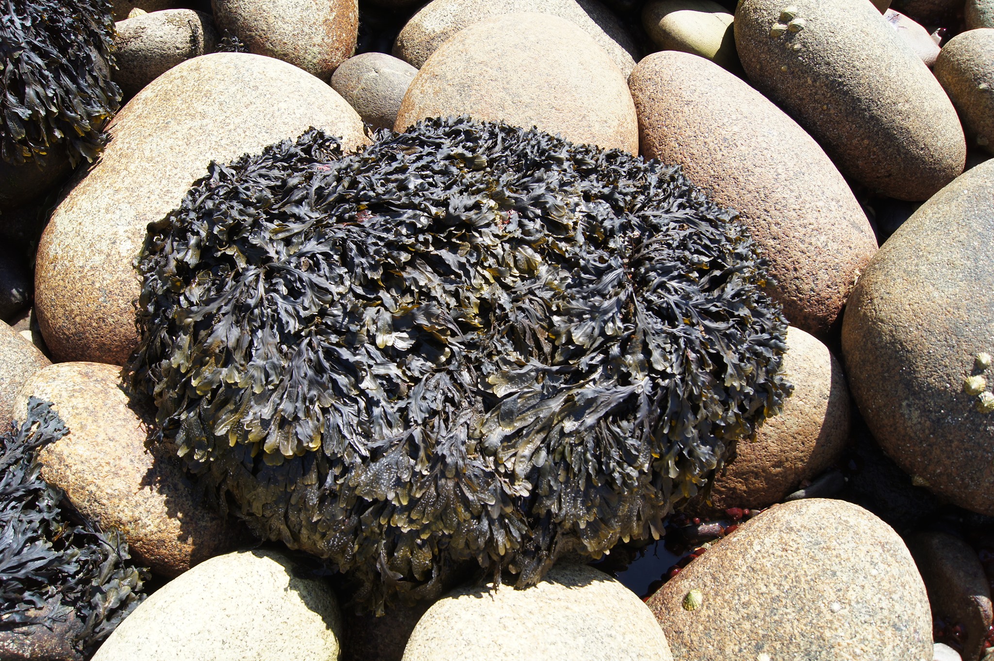 73537328_120291276059152_380593939909967872_o