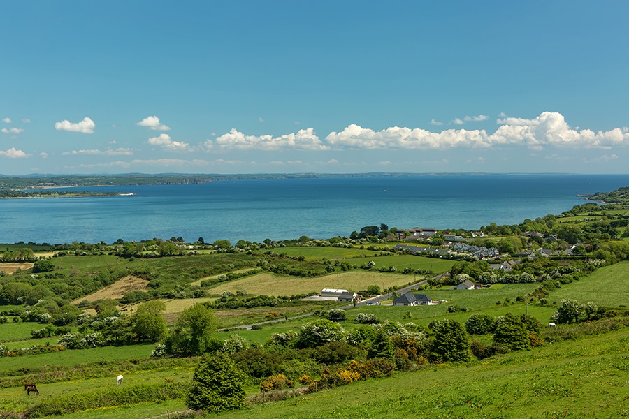 93930458_2390068651096431_6883323749181947904_n