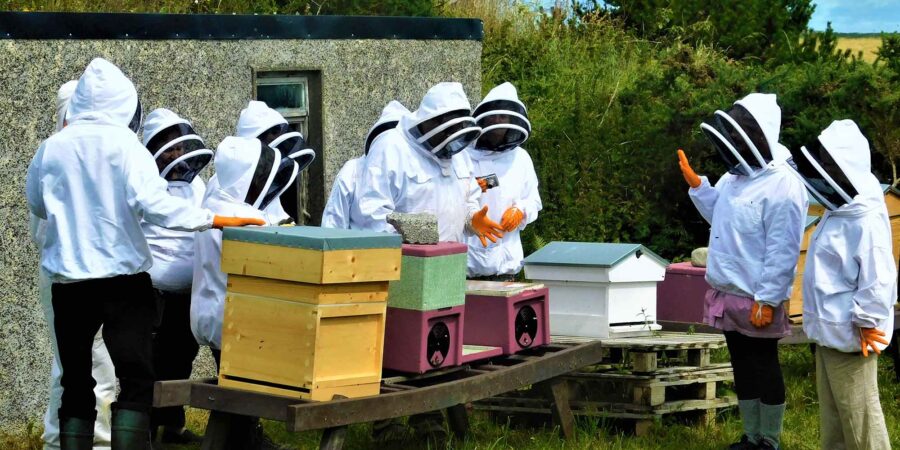 Daoine ag Lárionad Acmhainní Nádúrtha i mbun beachaireachta